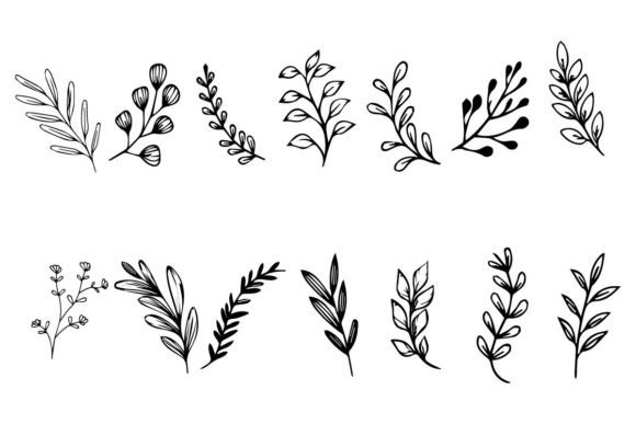 Download Botanical Leaf Wildflower Line Art - Wildflower Collection